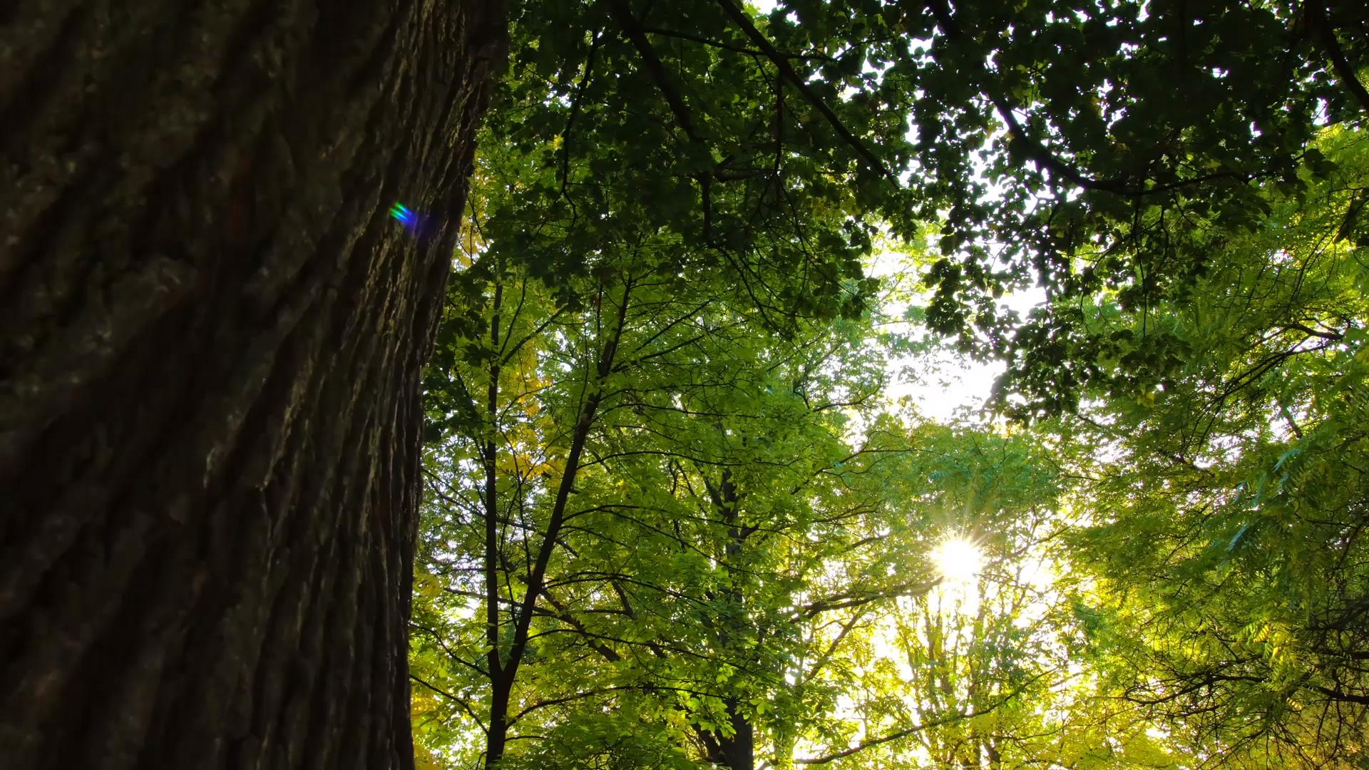 clinique-header-1_13.jpeg