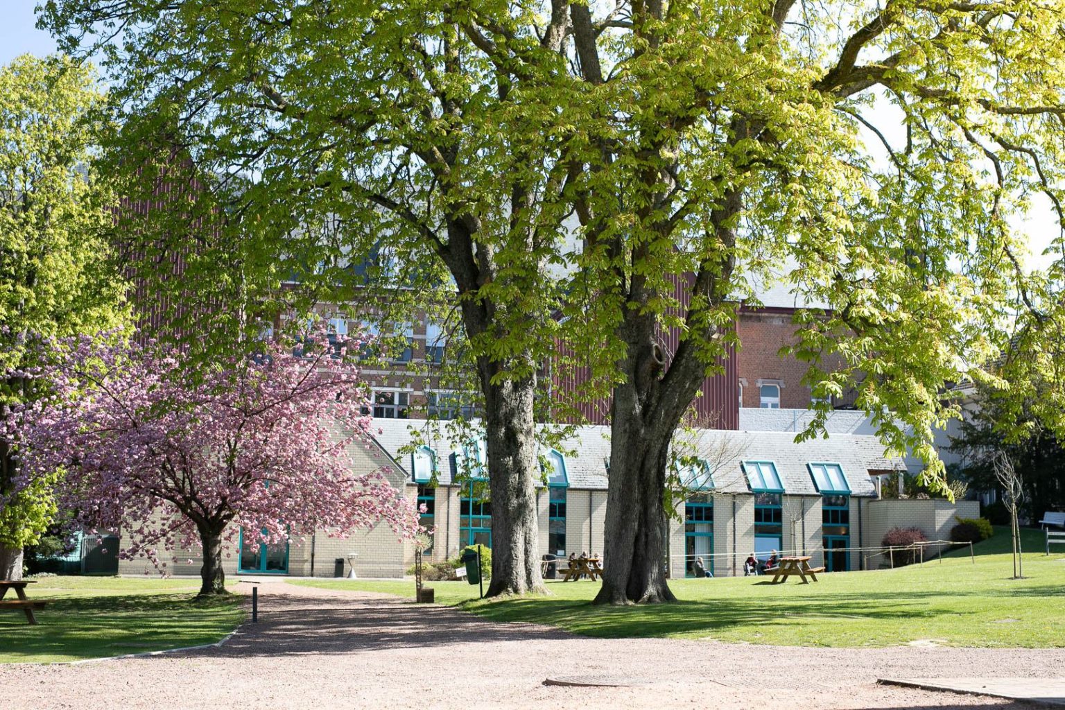 clinique de bonsecours - Clinique de Bonsecours